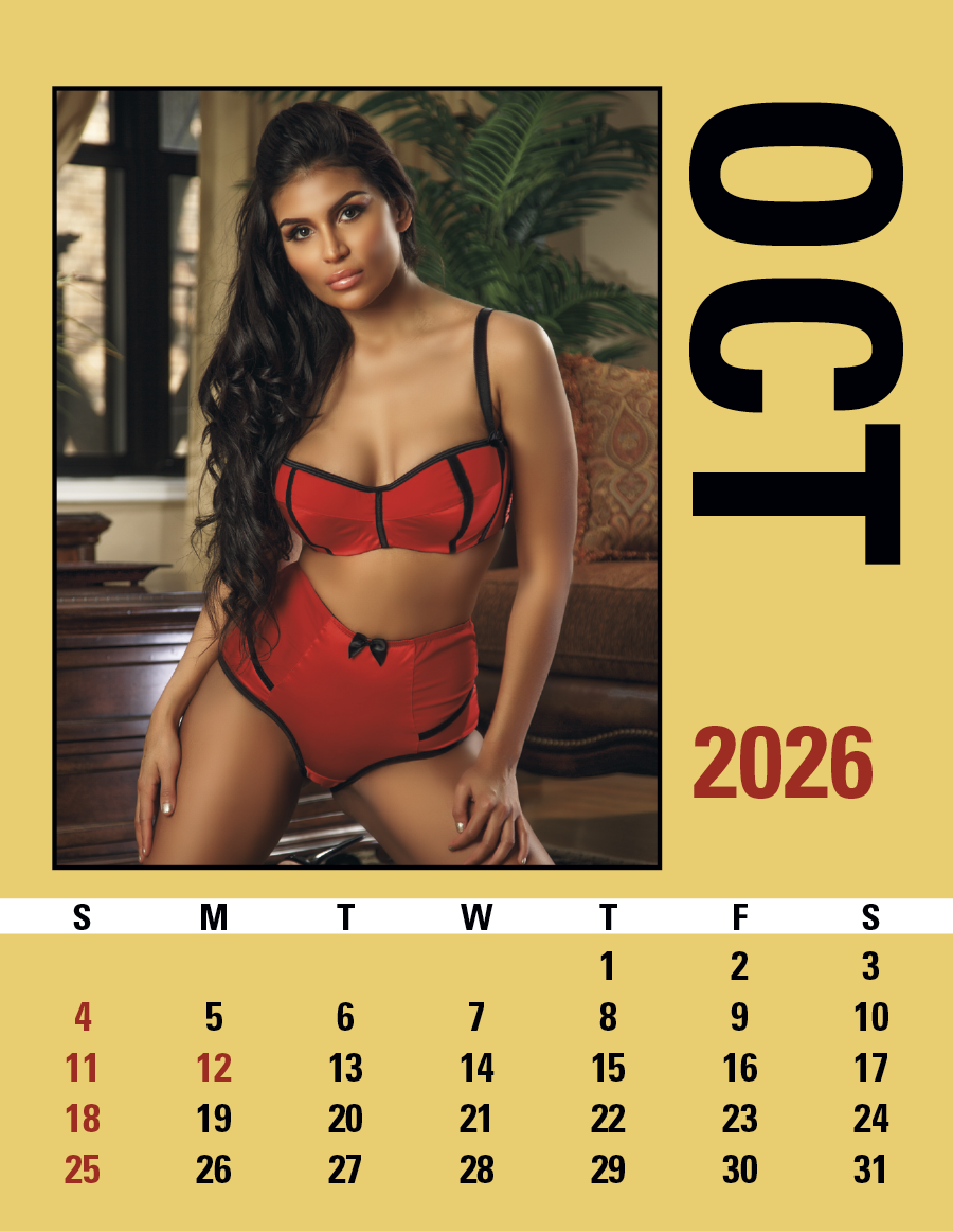 Triumph® Calendars Press-N-Stick Maiden America Calendar 3