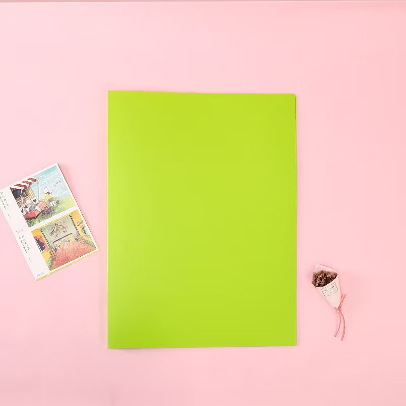 Polypropylene File Folder 2