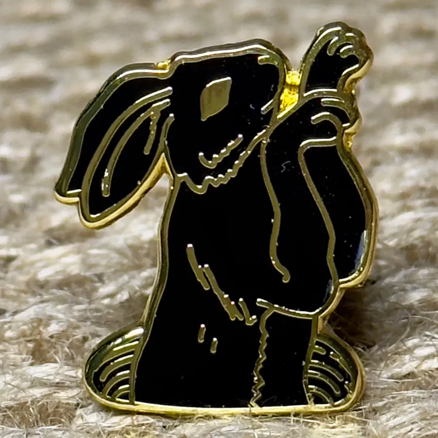 Hard Enamel Pin 5