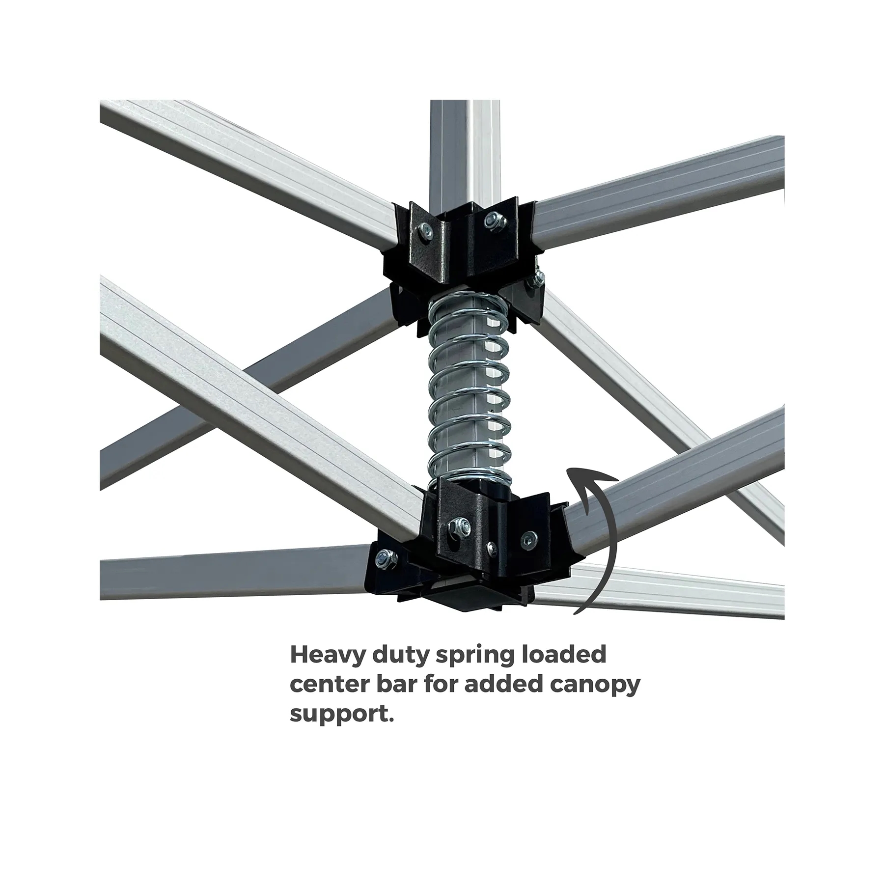 10x10 Platinum LifeTime Tent Full Color Canopy and Backwall 5