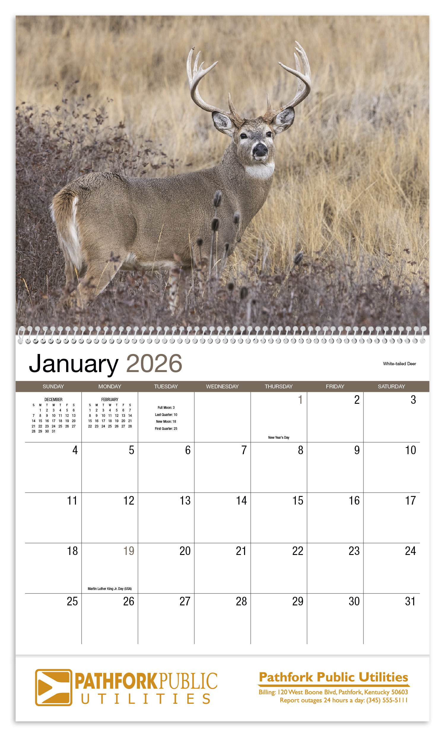 HotLine® Products Norman Rockwell Appointment Calendar - Spiral 14