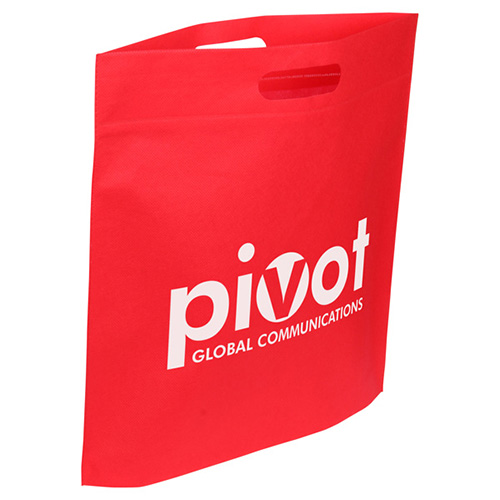 Echo Large Non-Woven Tote 26