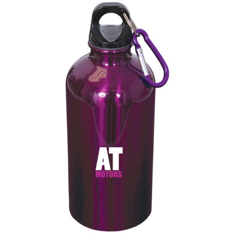 500 Ml (17 Fl. Oz.) Stainless Steel Bottle With Carabiner, custom water bottle with logo imprint 9