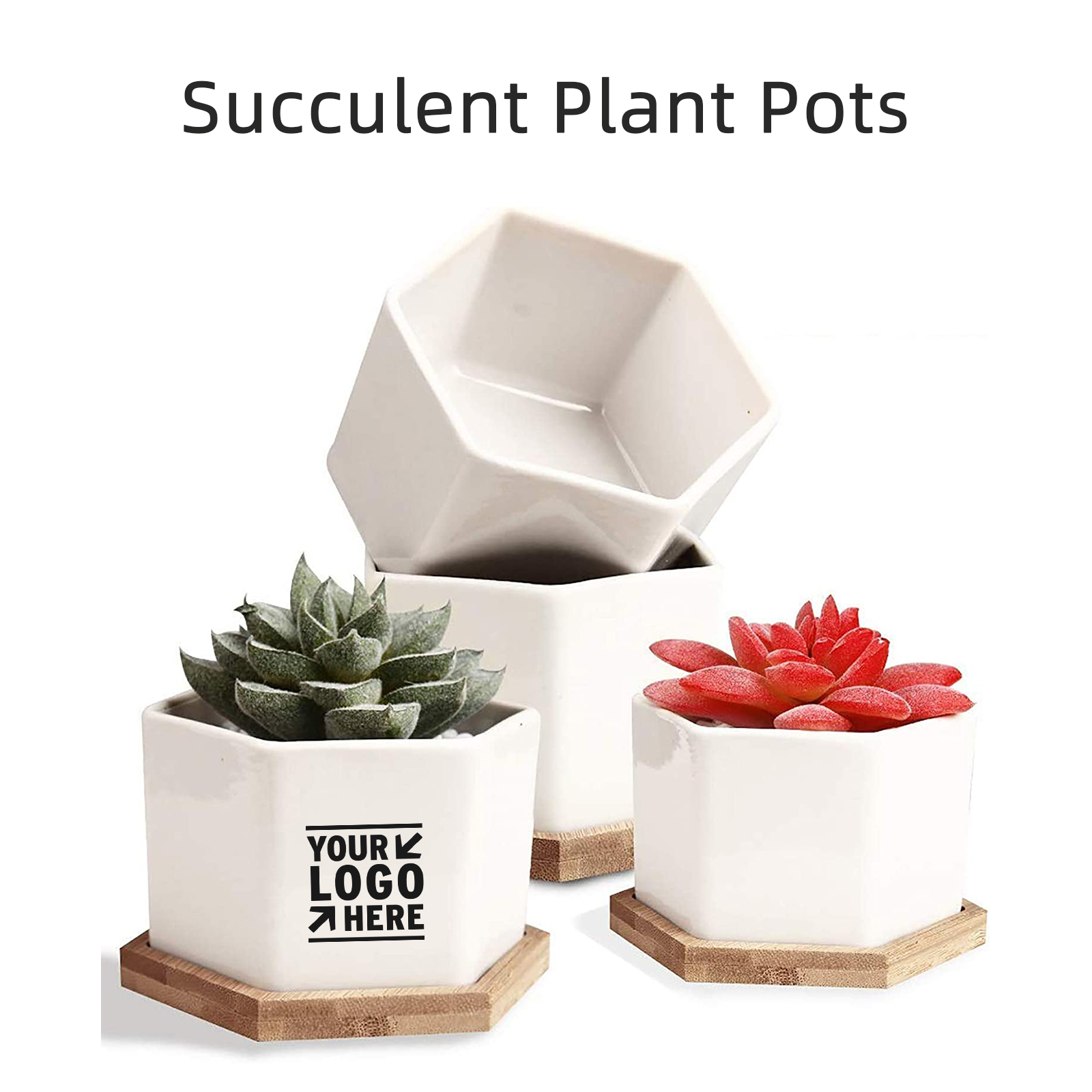 White Ceramic Succulent Cactus Plant Pots with Bamboo Tray 2