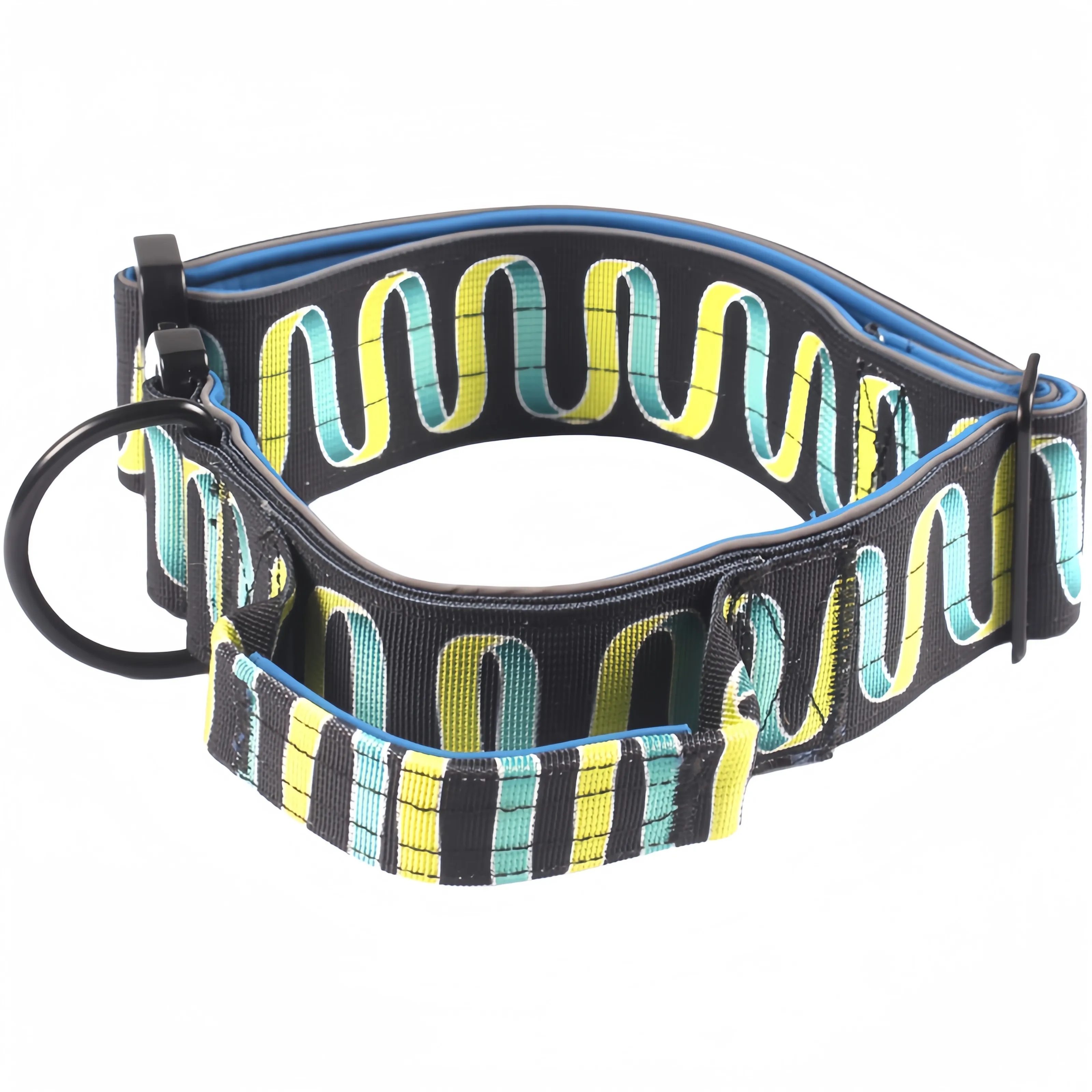 Pet Collar 4
