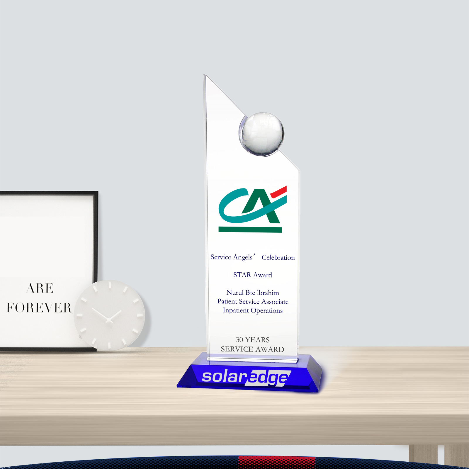 Rplin Pinnacle Globe Award 3