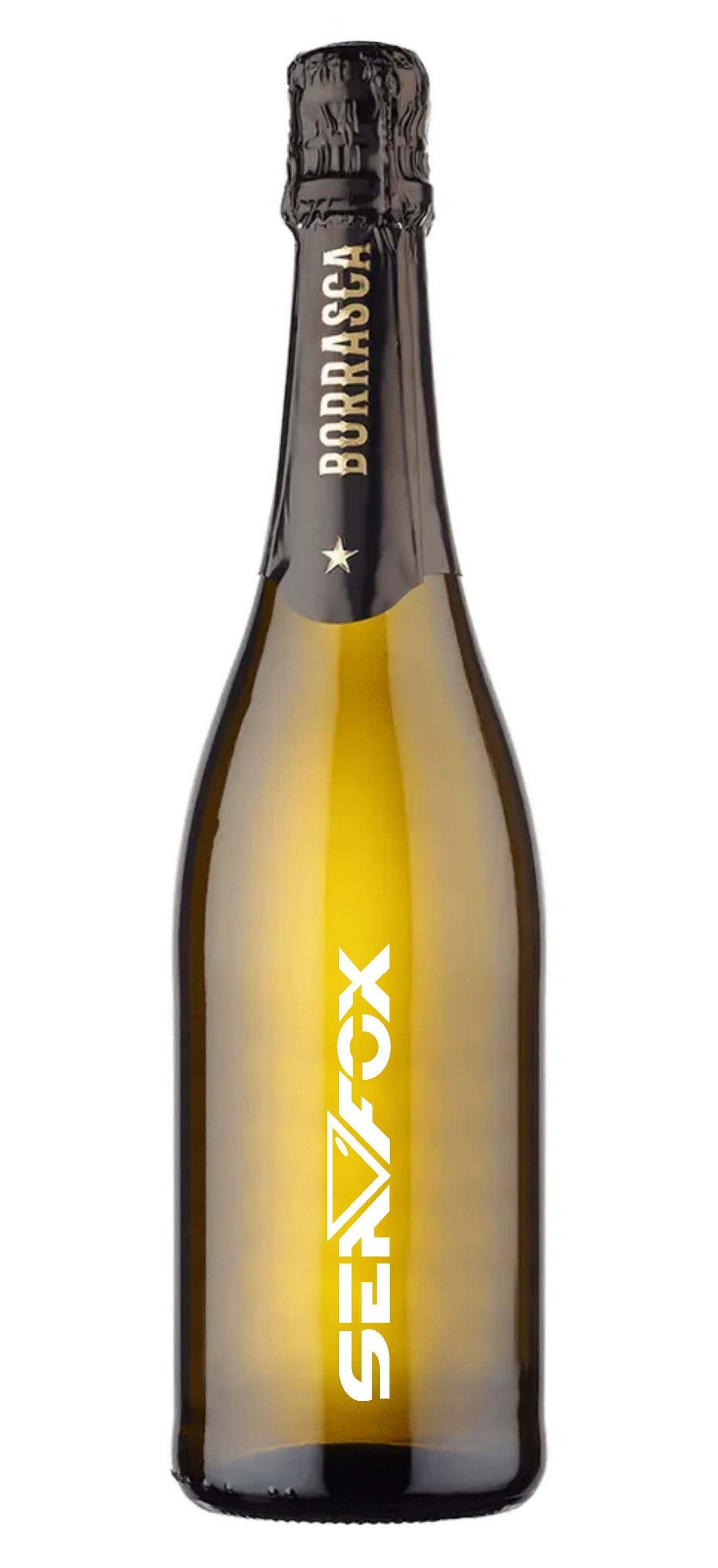 Deep Etched Premium Wine Bottle 2