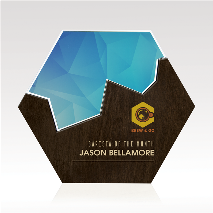 Fusion Hexagon 15