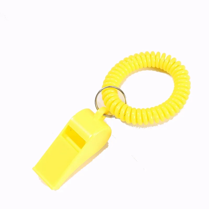 Promotional Whistle Coil Key Chain 3