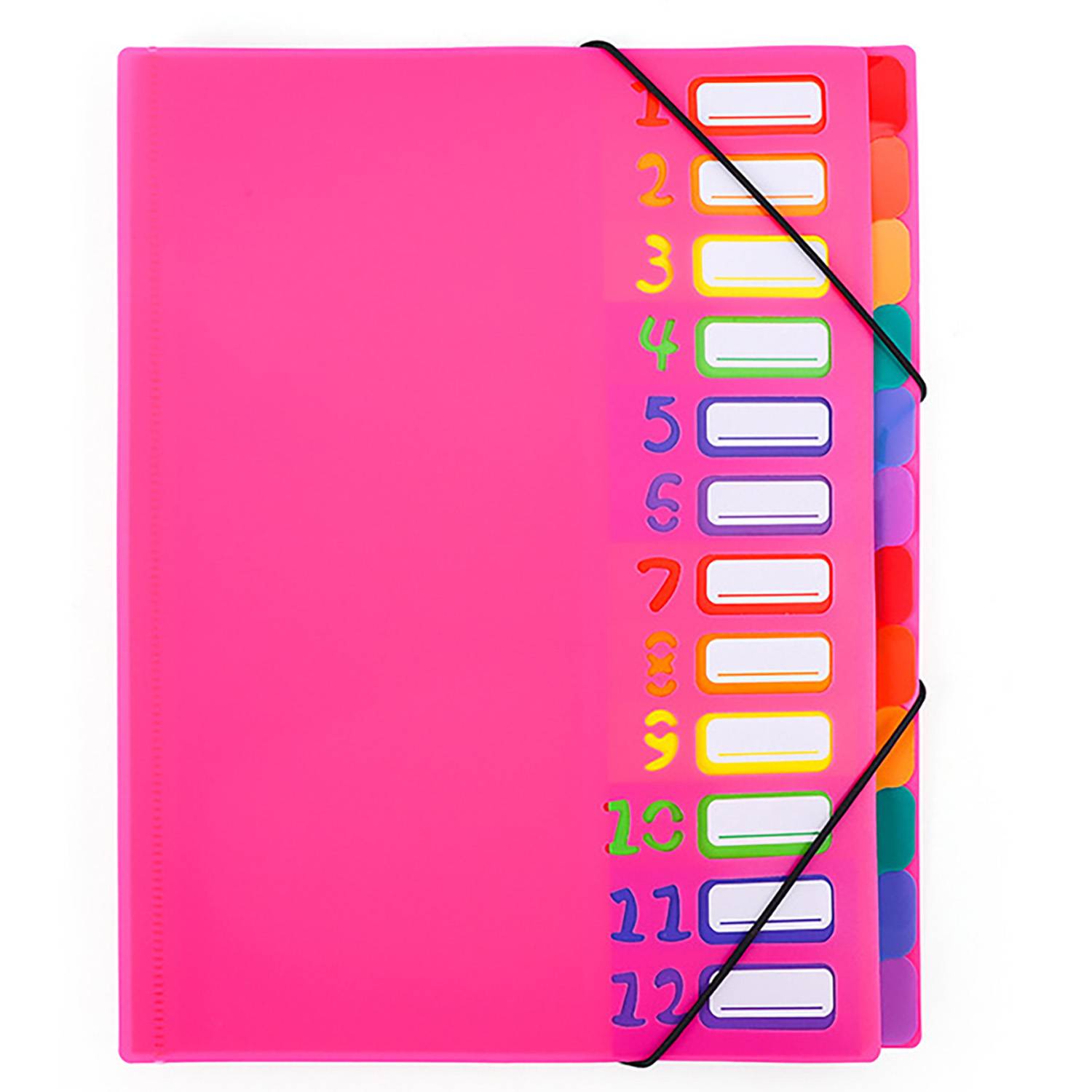 12 Pockets Plastic Expanding File Folder 10