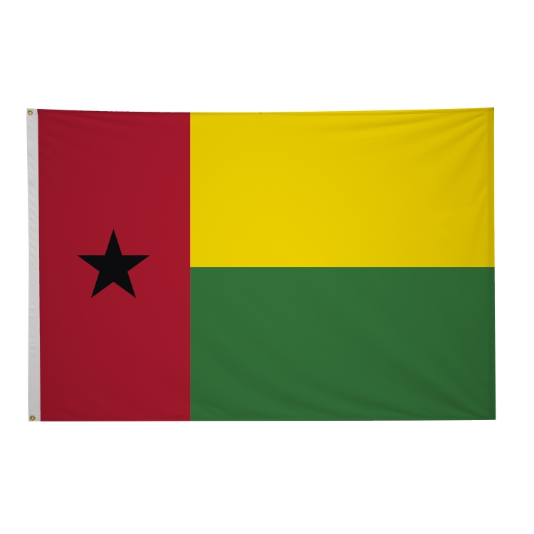 4' x 6' International Flags 190