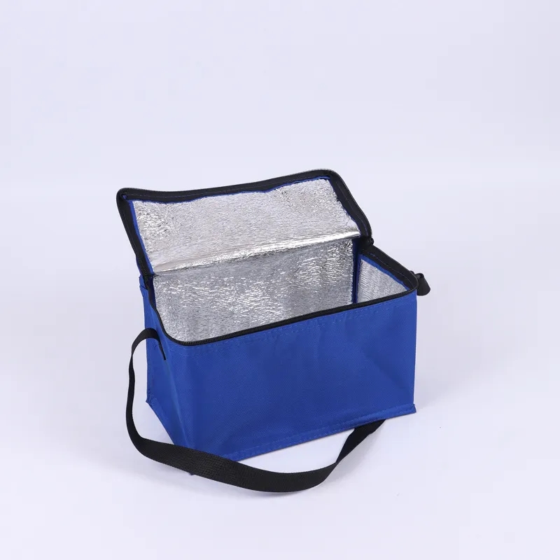 Insulated Food Delivery Bag Custom Size 1