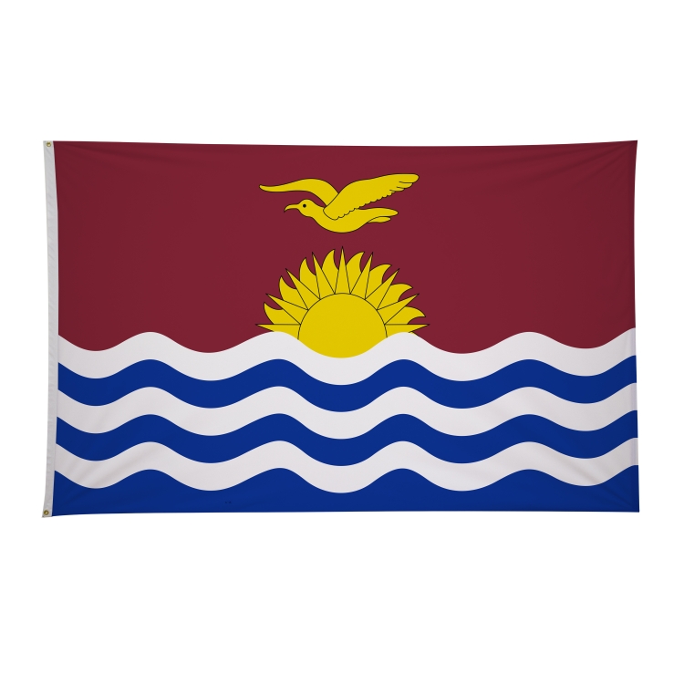 5' x 8' International Flags 290
