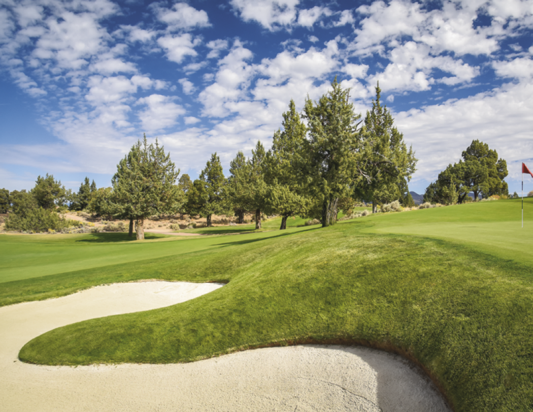 Good Value™ Fairways & Greens - Stapled Calendar 22