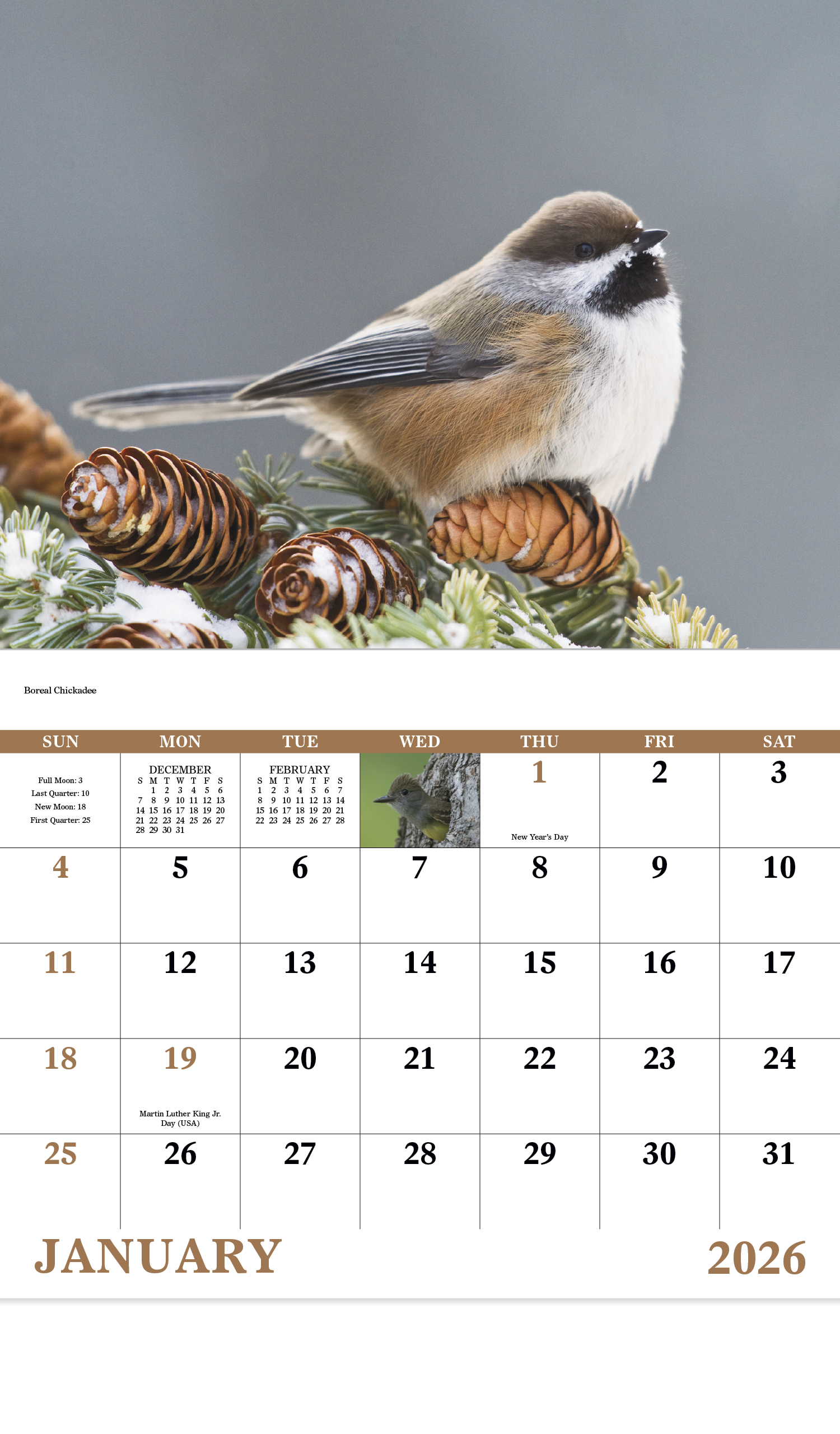 Good Value™ Birds of North America - Stapled Calendar 41