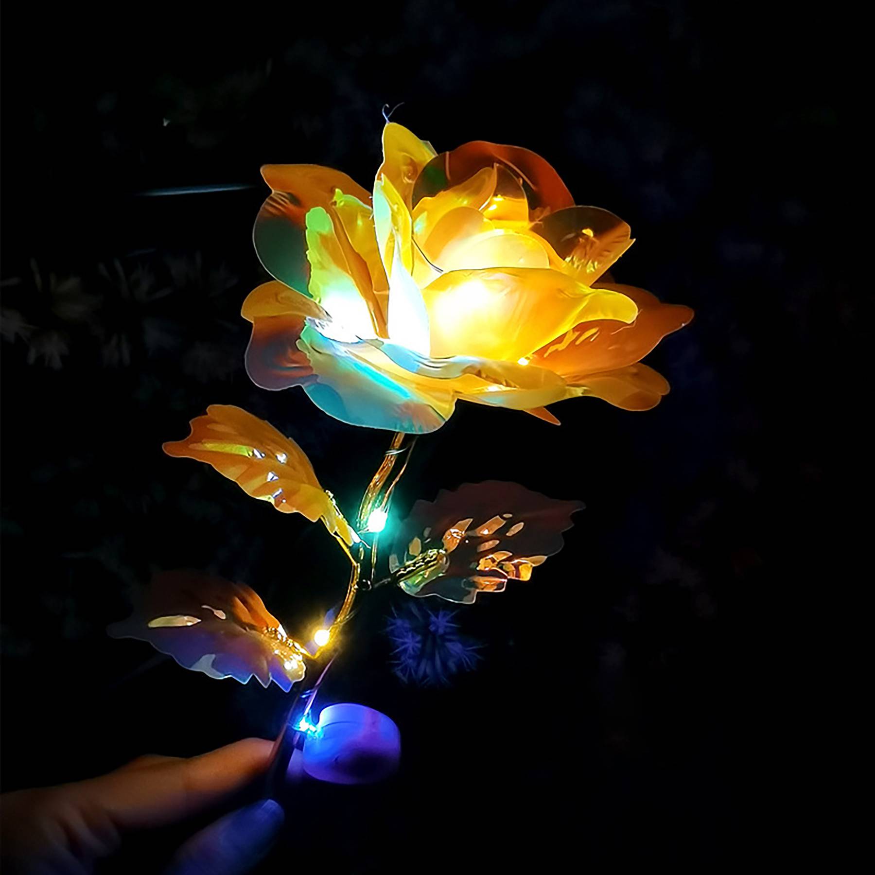 Glowing Rose 3