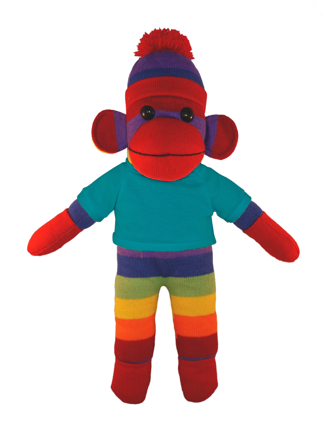 Rainbow Sock Monkey with Tee 5