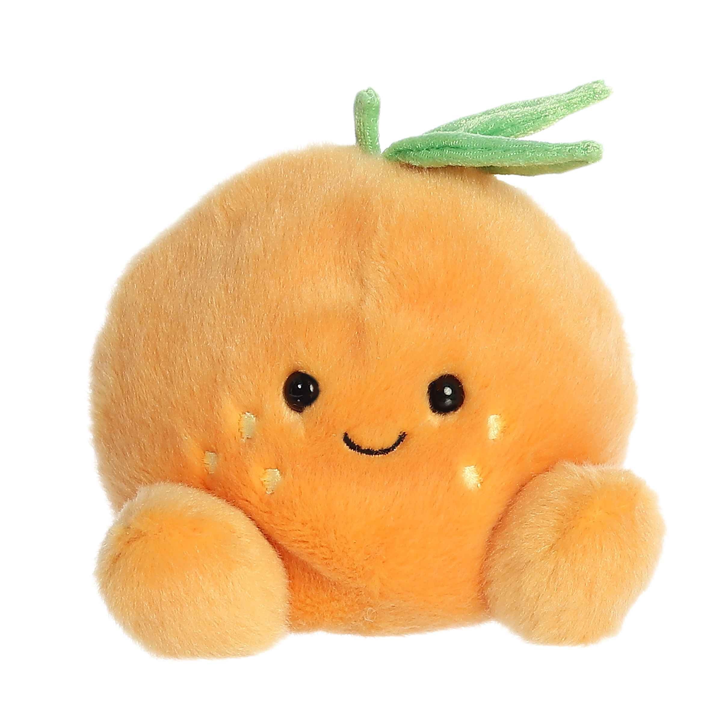 5" Bean Bag Orange Fruit 2
