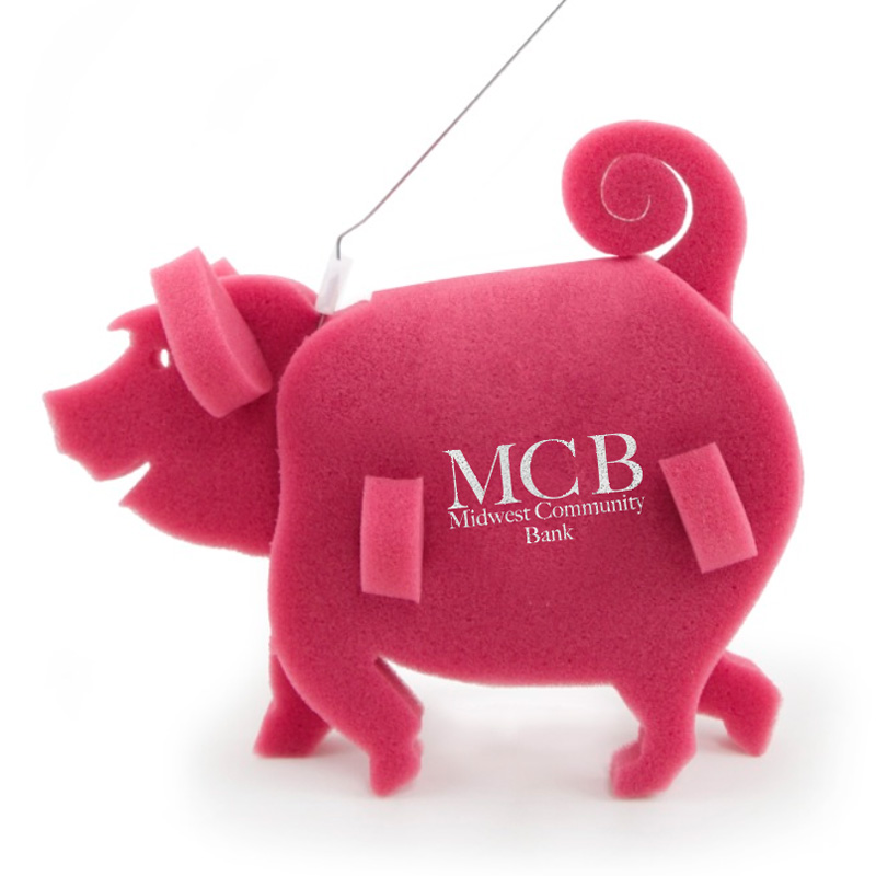 Pig on a leash 13
