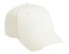 Embroidered Superior Cotton Twill Pro Caps 9