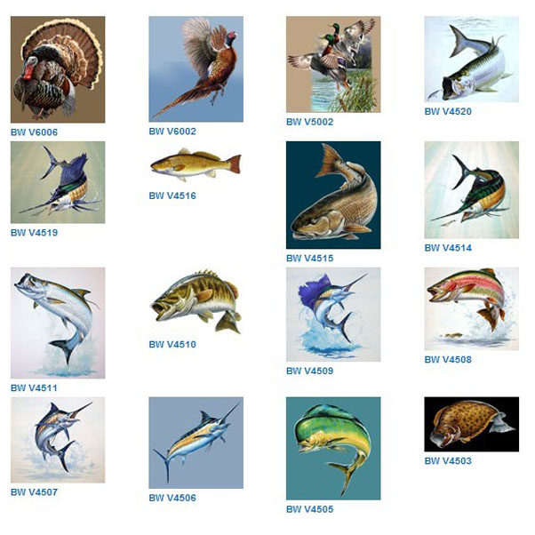 Coolers-Sportsman Series