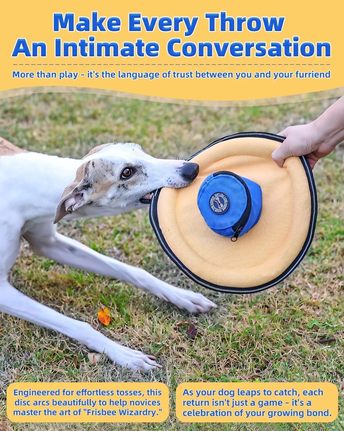 Hat Shape Flying Disc Dog Toy 4
