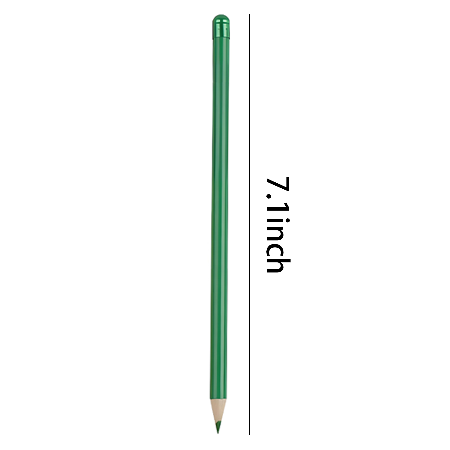 Customized daisy seed germination pencil 4