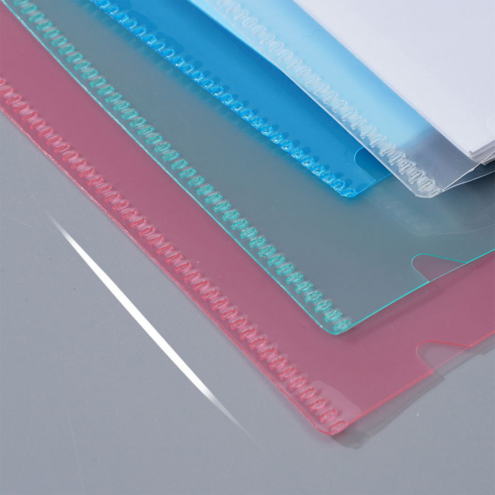 A4 Plastic File Folders 3