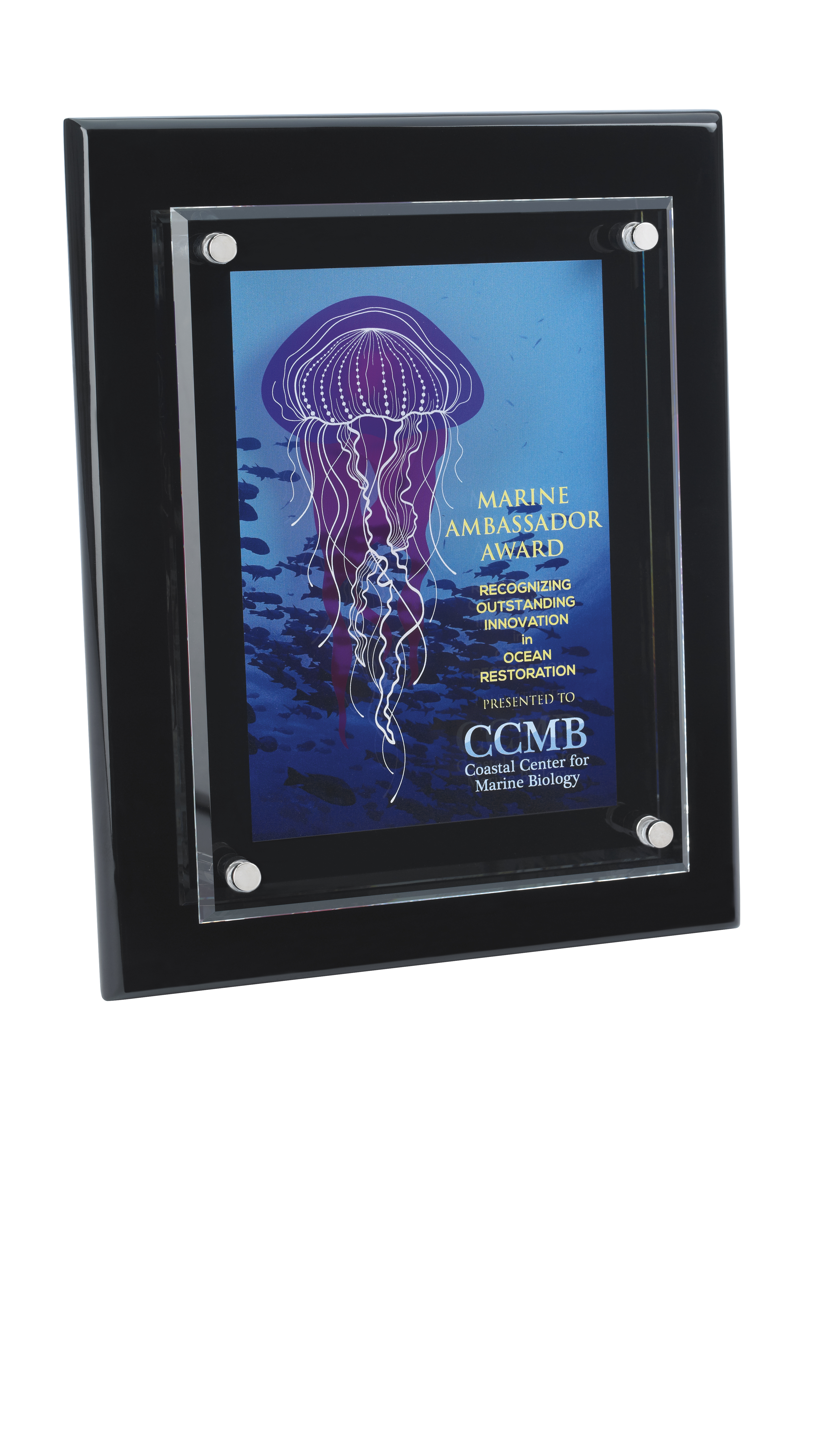 JAFFA® Floating Glass Plaque - 8" x 10" 3