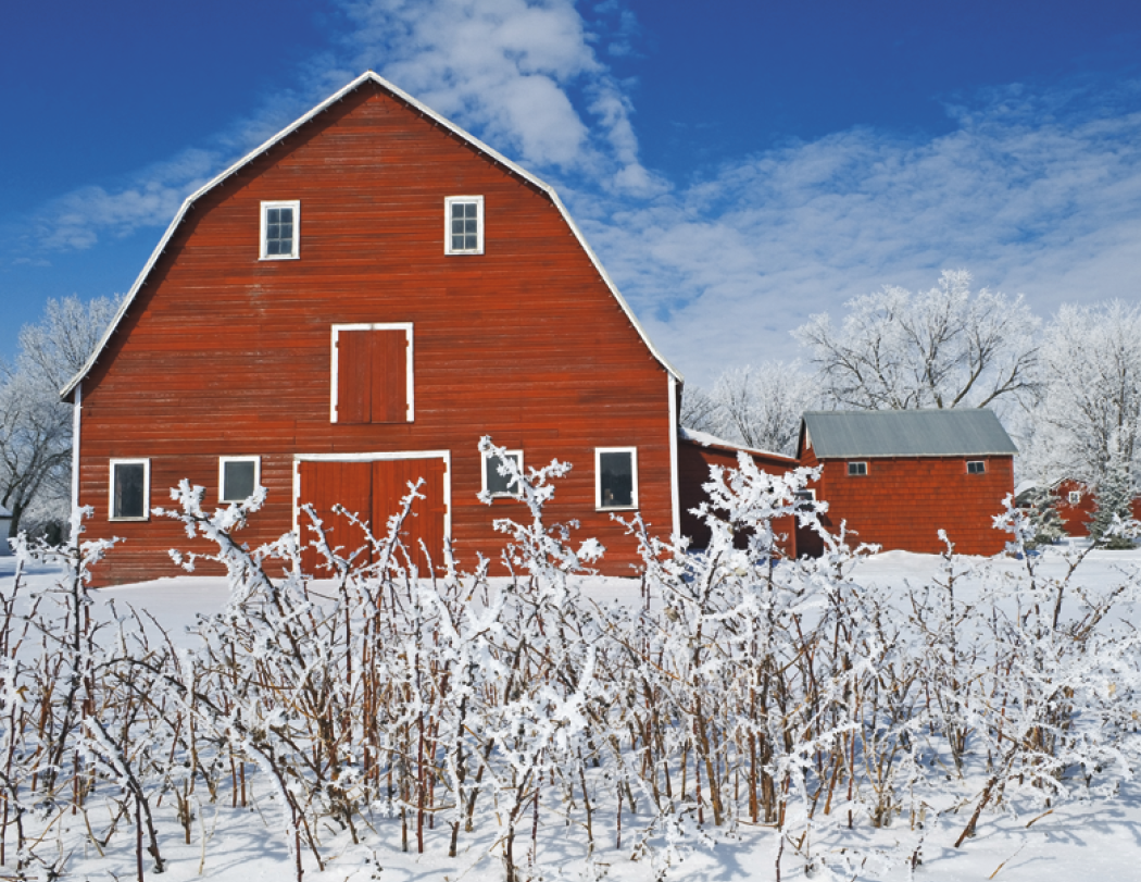 Good Value™ Agriculture - Spiral Calendar 67