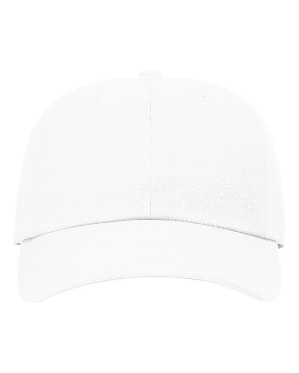 Sustainable Ashland Dad Hat - 254RE 13