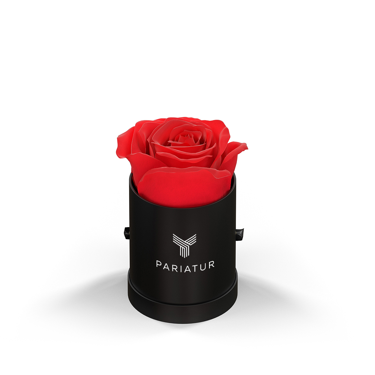 Classique by VeF Le Mini™ Round 21