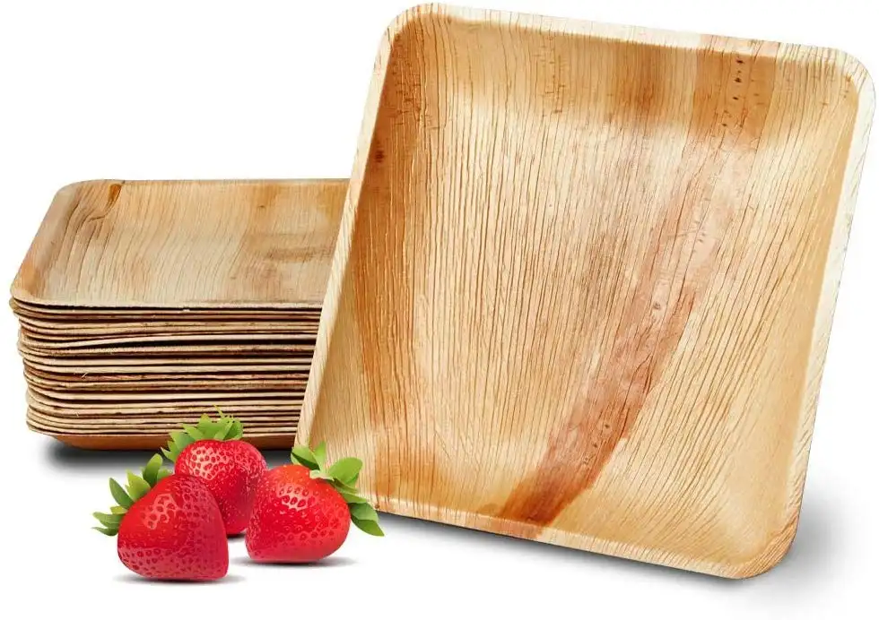 Palm Leaf Plates 2