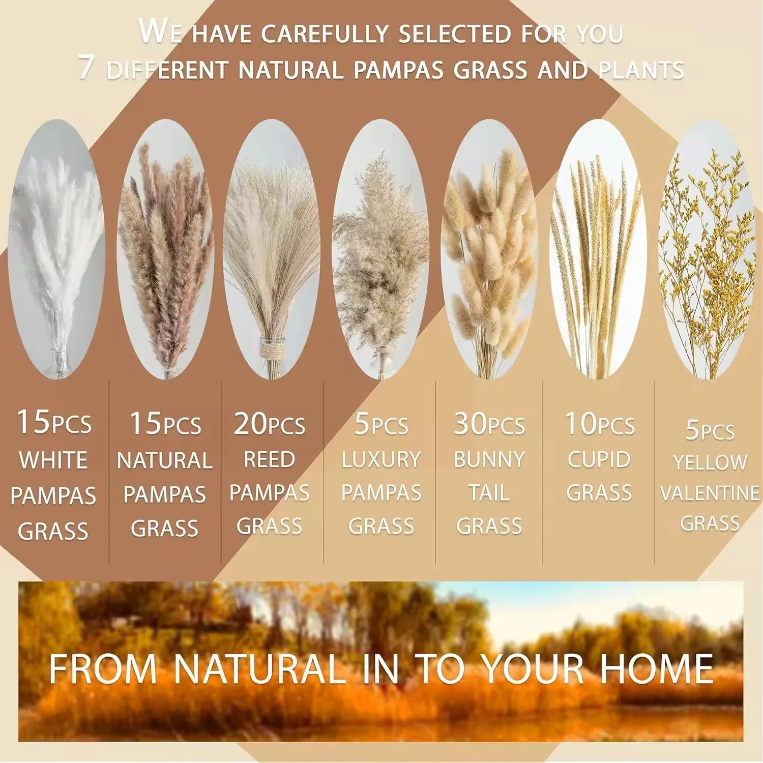 Natural Dried Pampas Grass Boho Home Decorations (100PCS) 7