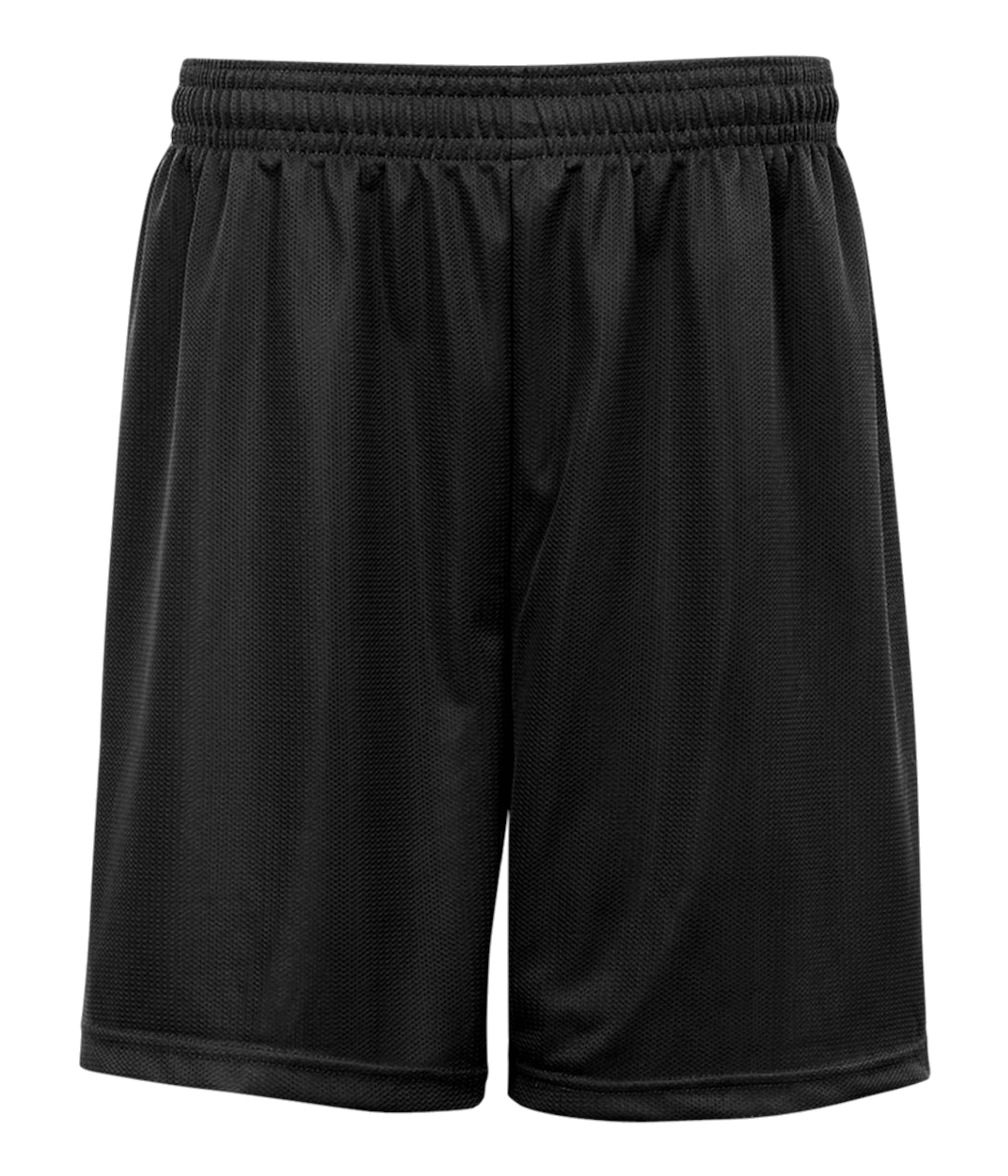 MINI MESH SHORT 2