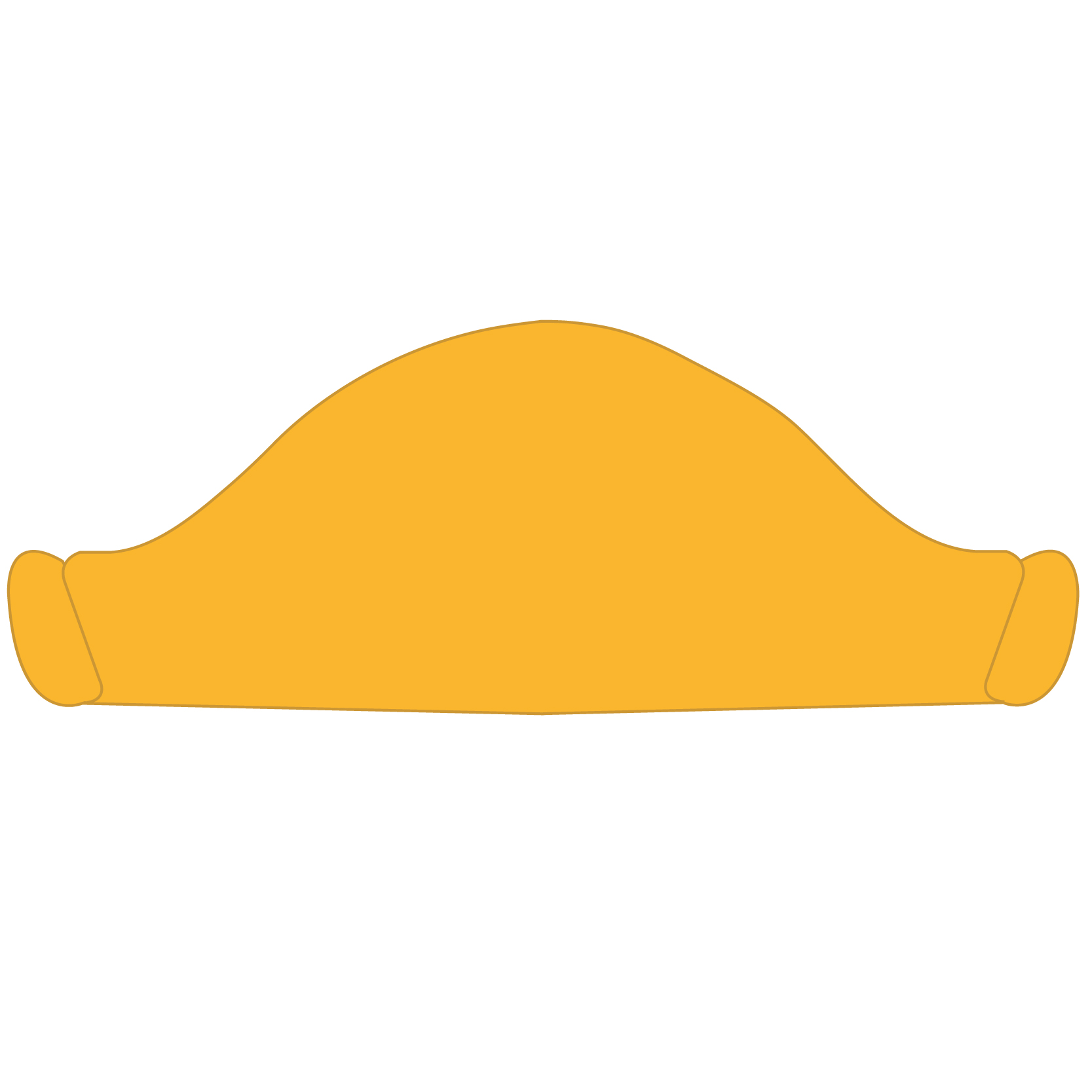 Pirate Hat 6