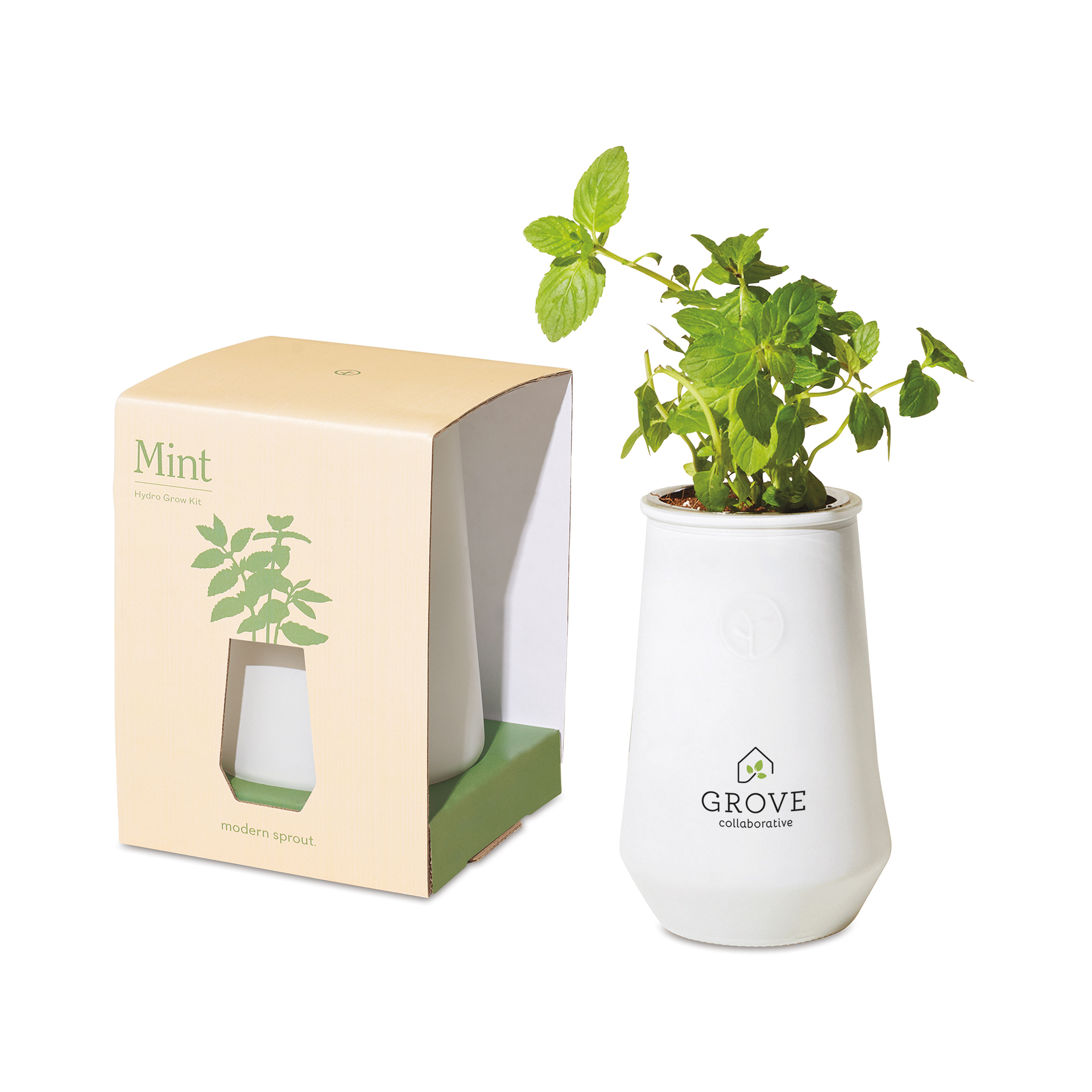 Modern Sprout® Tapered Tumbler Grow Kit 16