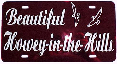 Custom Cut Vinyl Mirror License Plate 2