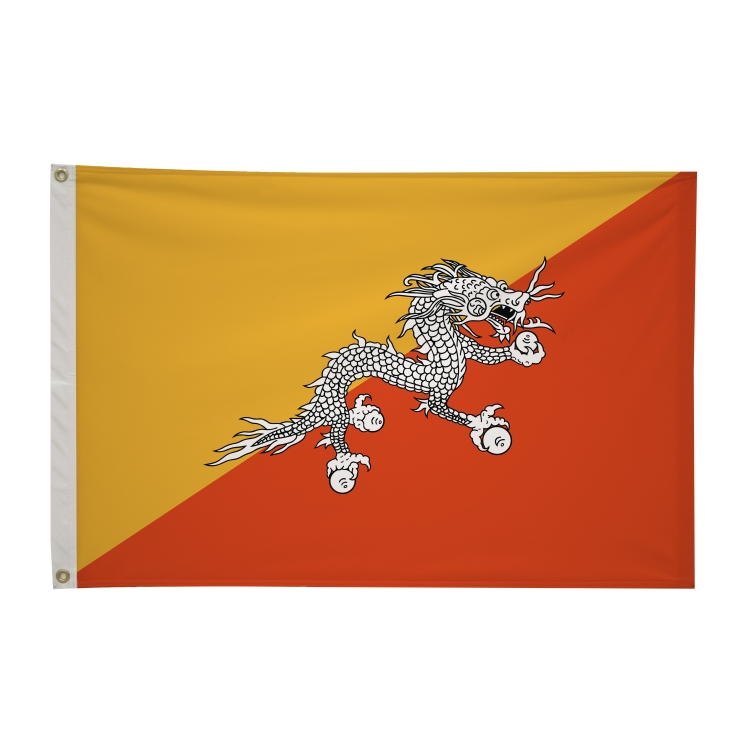 2' x 3'International Flag 80