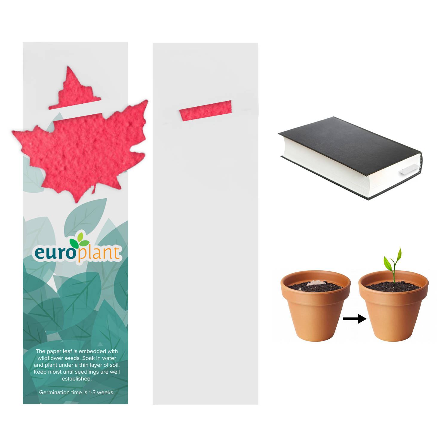 Plantable Bookmark 25