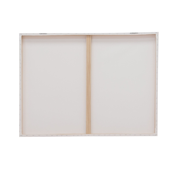 36" x 48" Canvas Print 7