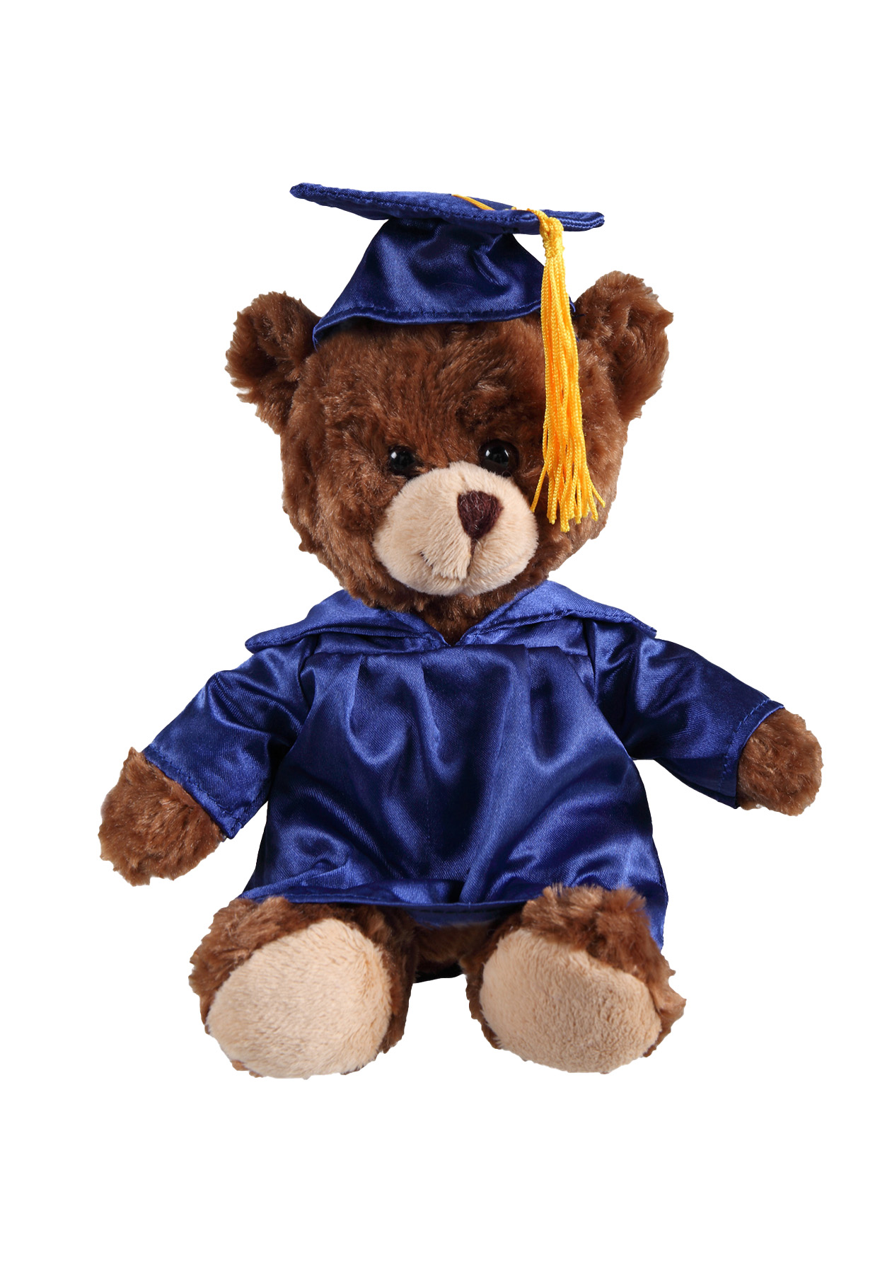 soft plush  Chocolate Curly Sitting Bear with graduation cap &gown 3