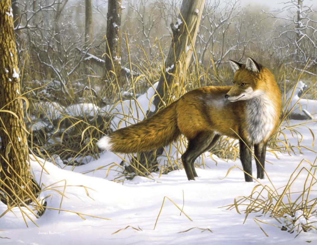 Triumph® Calendars Wildlife Art by the Hautman Brothers Calendar 65