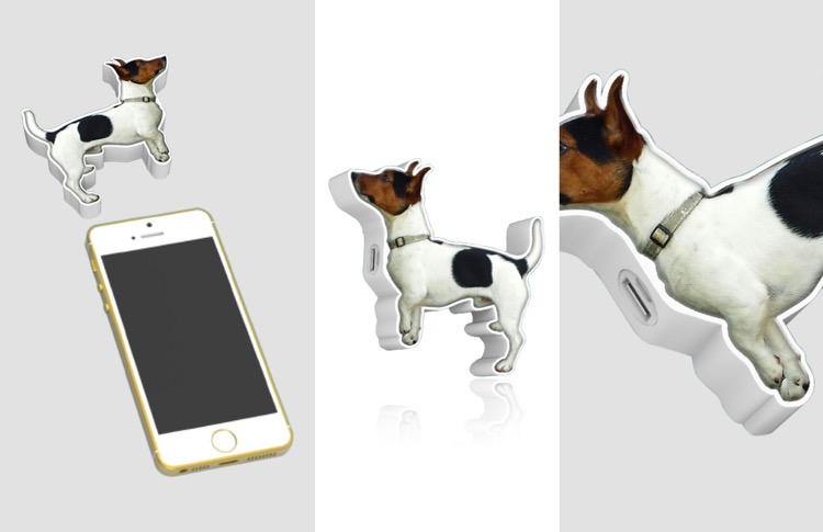 Custom Terrier Charger 3