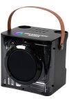 15W Karaoke Wireless Speaker with 2 Mics 18