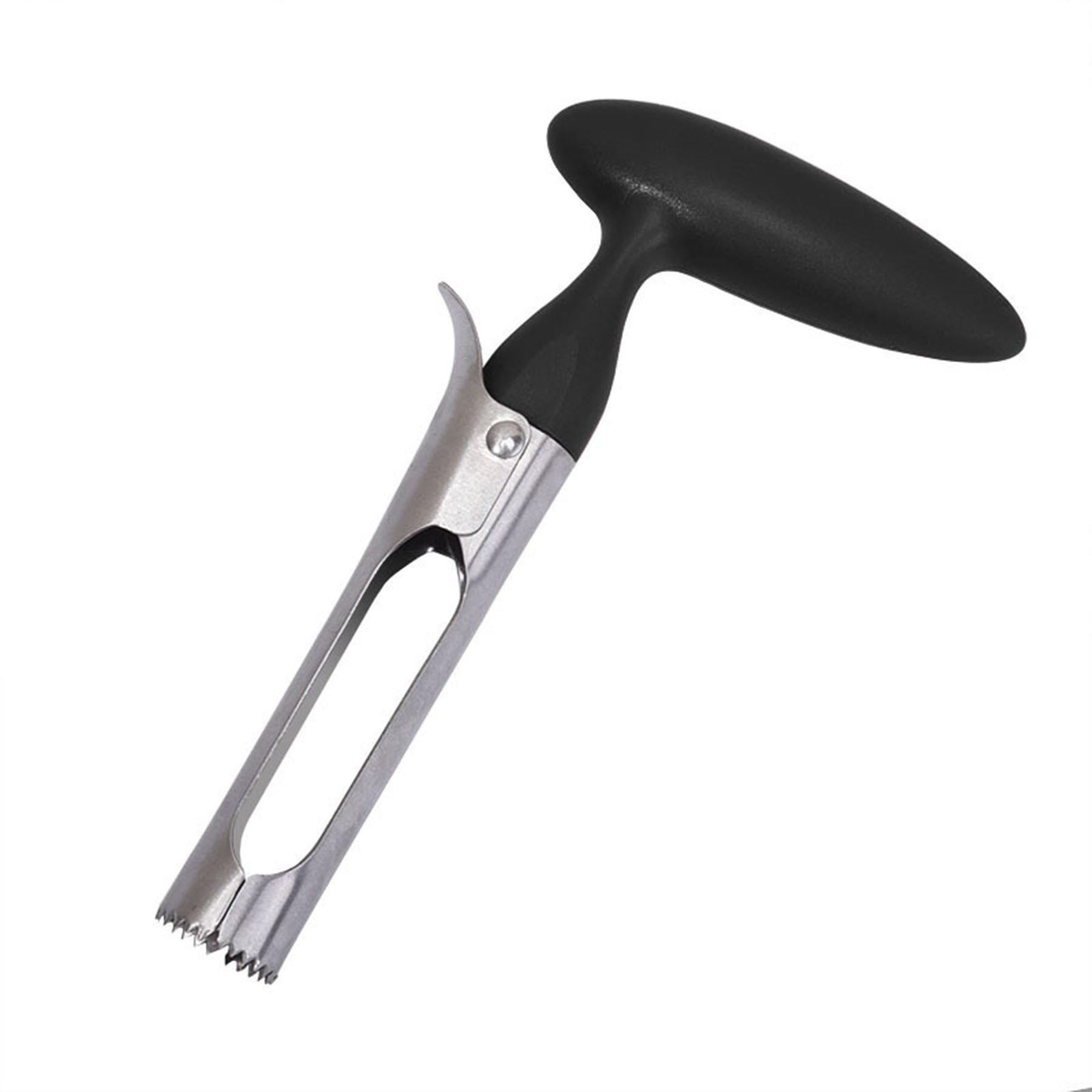 Fruit Seed Remover 3