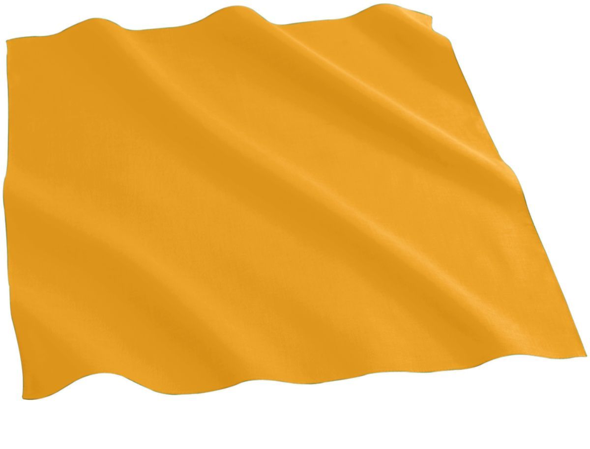 Cotton Bandana 11