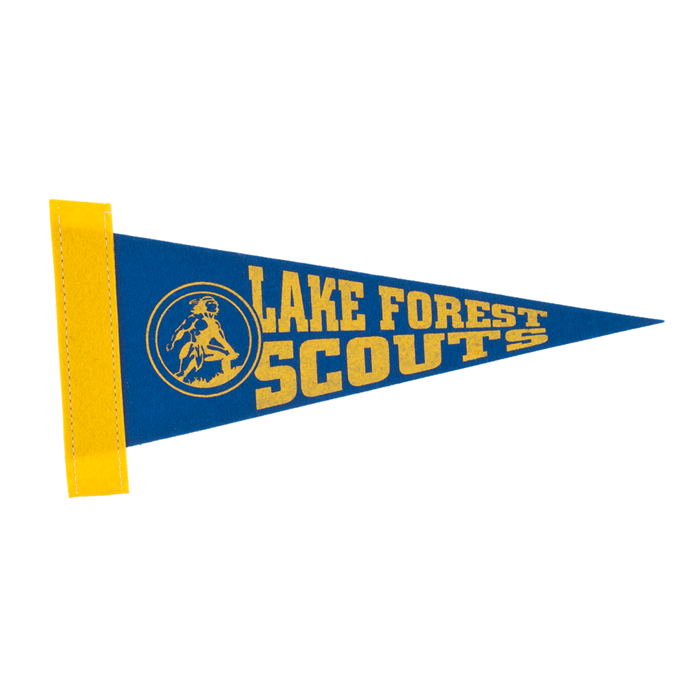 4" x 10" Colored Felt Pennant 12