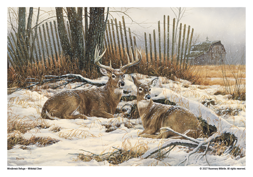 Triumph® Calendars Wildlife Art Calendar 53