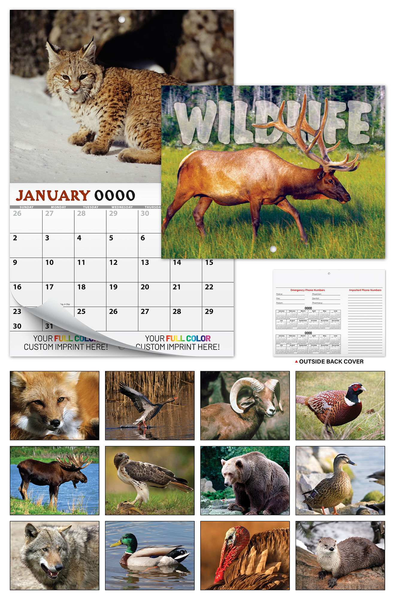 13 Month Custom Appointment Wall Calendar (High Gloss UV-Coated Cover)- WILDLIFE 1